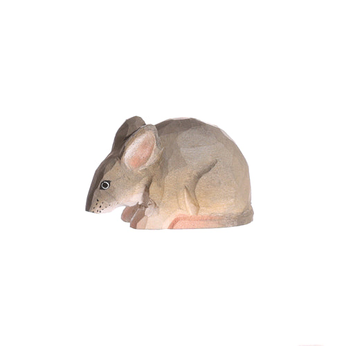 Muis