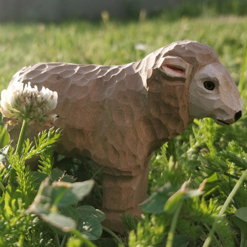 Schaap