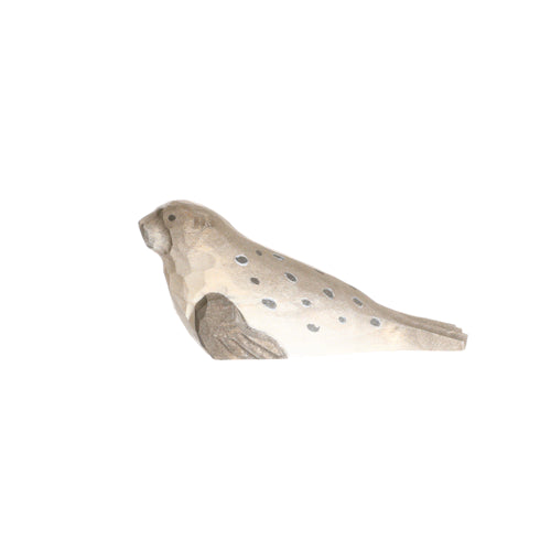 Zeehond