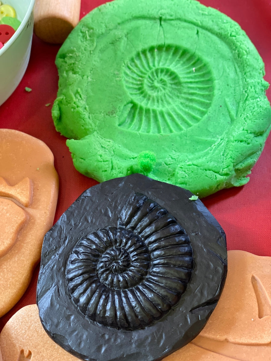Let's Investigate | Fossils