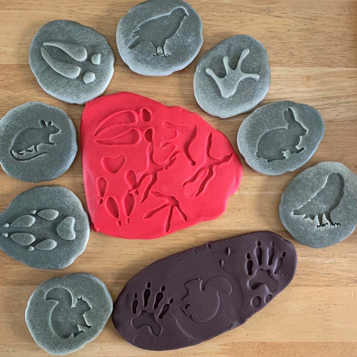 Let's Investigate | Woodland Footprints
