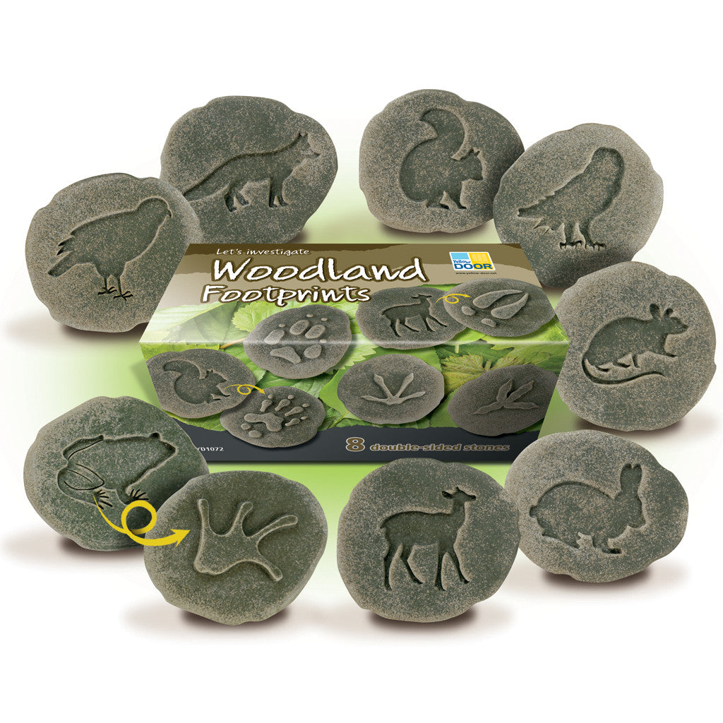 Let's Investigate | Woodland Footprints