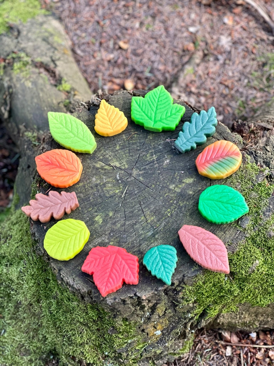 Sensory Play Stones | Leaves