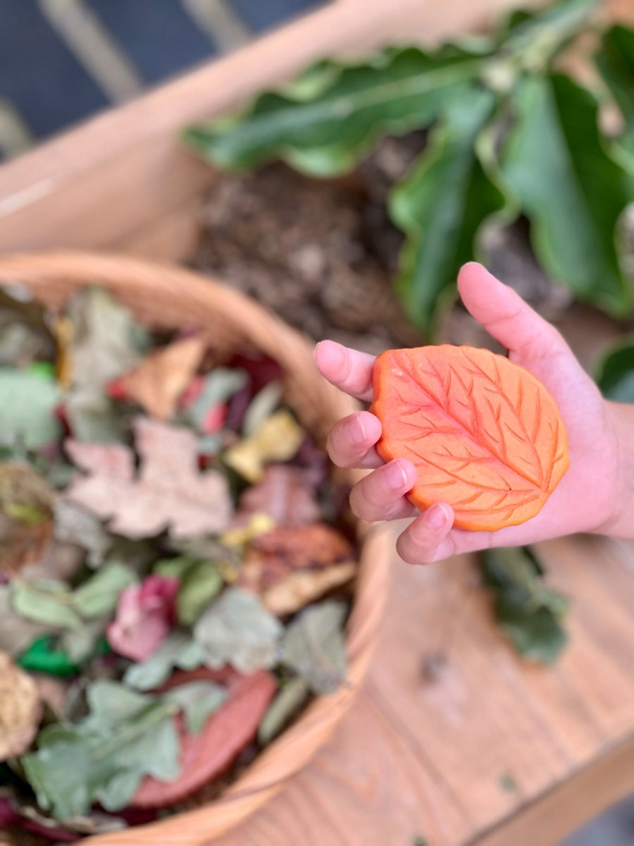 Sensory Play Stones | Leaves