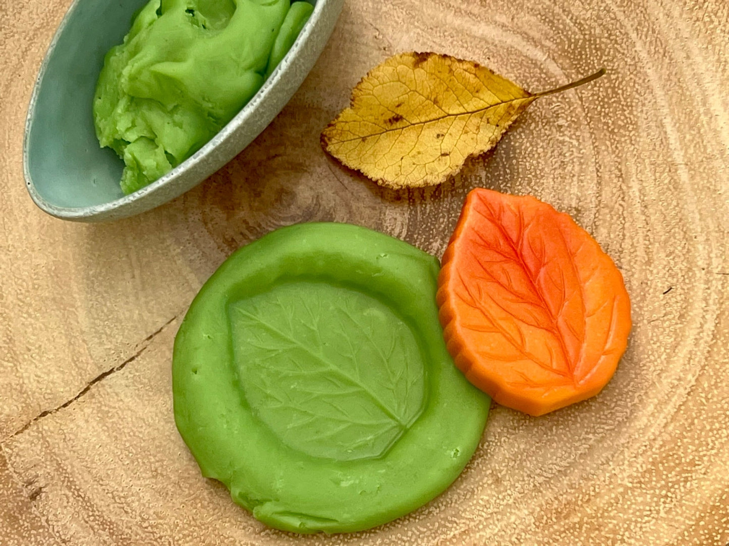 Sensory Play Stones | Leaves