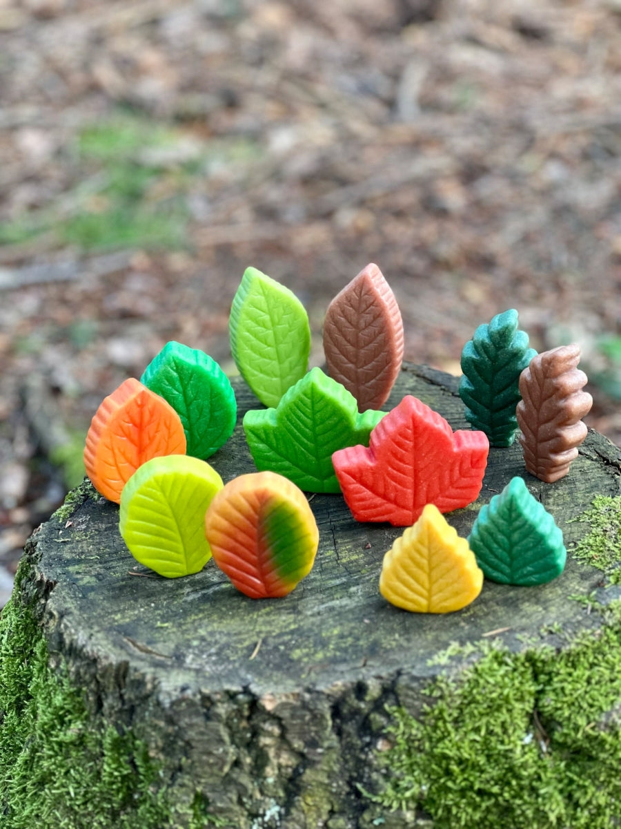 Sensory Play Stones | Leaves