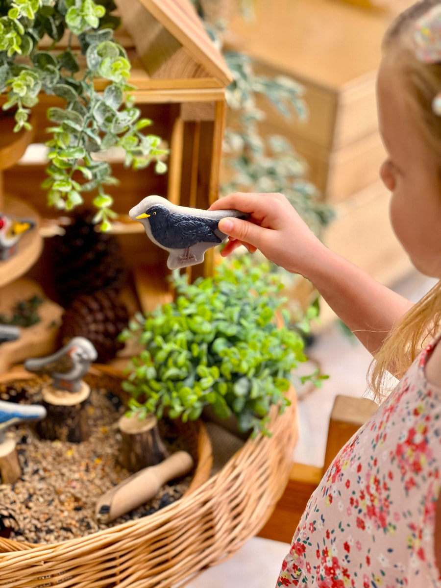 Sensory Play Stones | Birds
