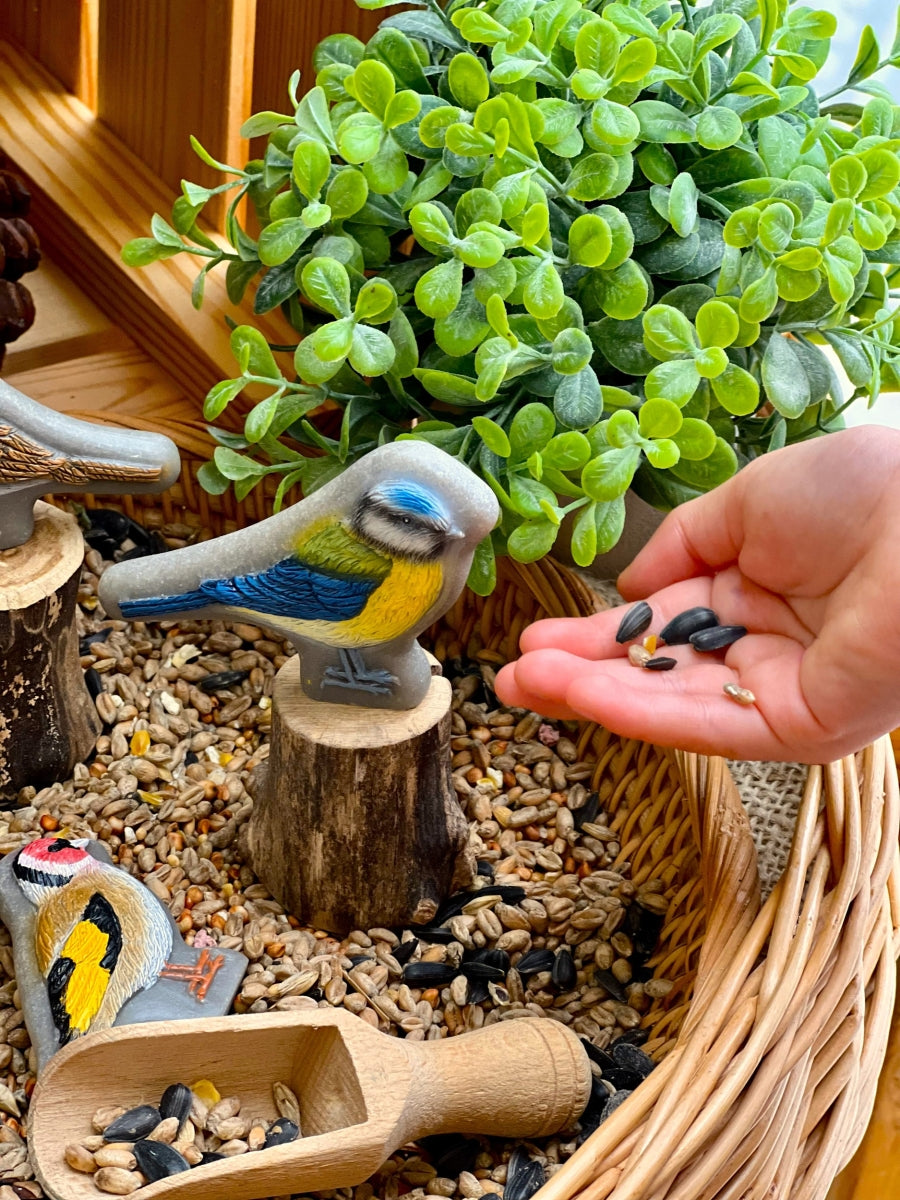 Sensory Play Stones | Birds