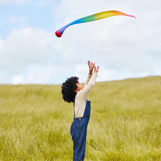 Skytail | Rainbow