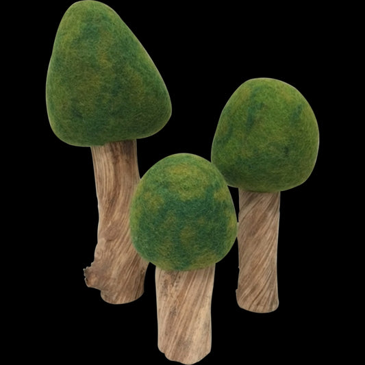 Wolvilten Bomen | Zomer