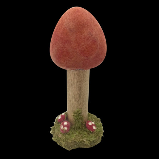 Wolvilten Boom | Herfst