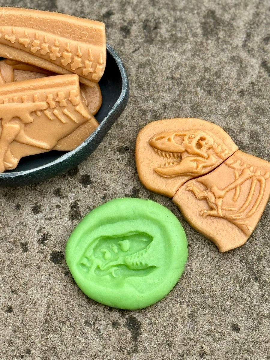 Dig & Discover | Ankylosaurus & Tyrannosaurus Rex