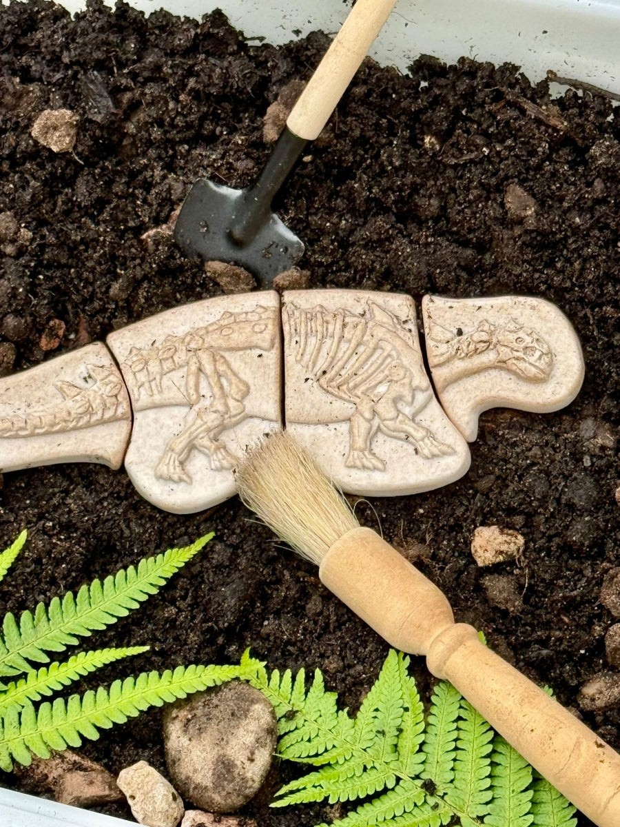 Dig & Discover | Ankylosaurus & Tyrannosaurus Rex