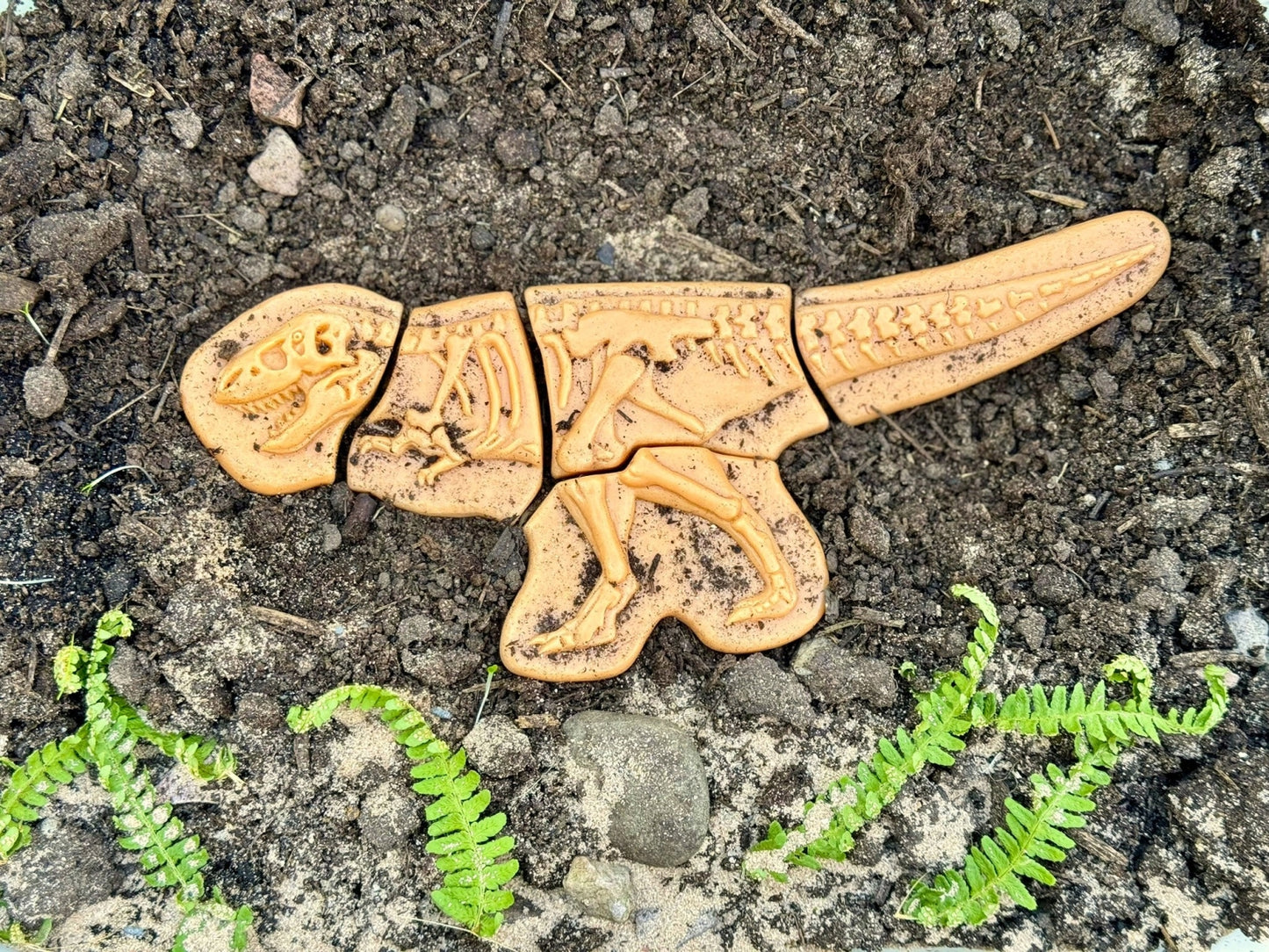 Dig & Discover | Ankylosaurus & Tyrannosaurus Rex