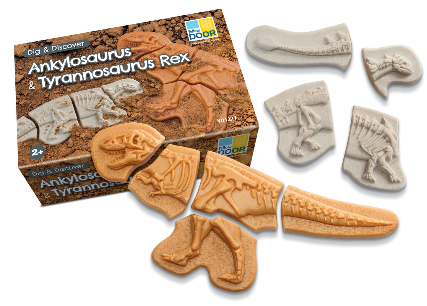 Dig & Discover | Ankylosaurus & Tyrannosaurus Rex