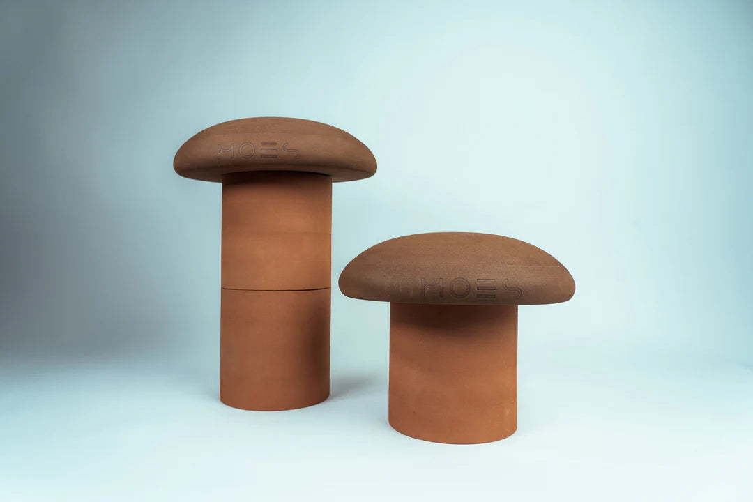 Forest Collection | Mushrooms