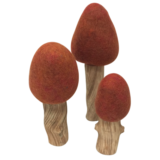 Wolvilten Boom | Herfst