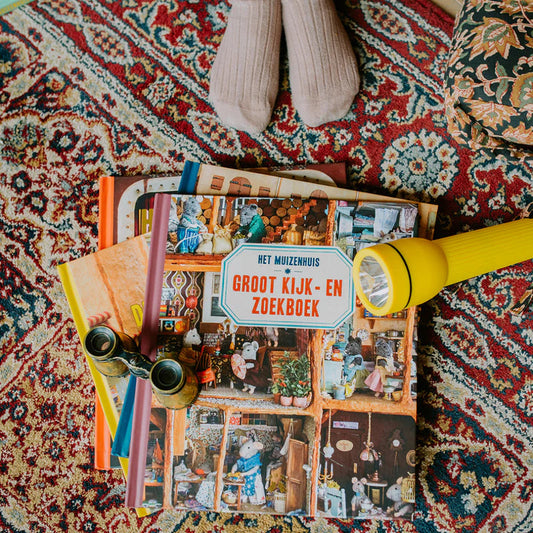 Groot kijk- en zoekboek