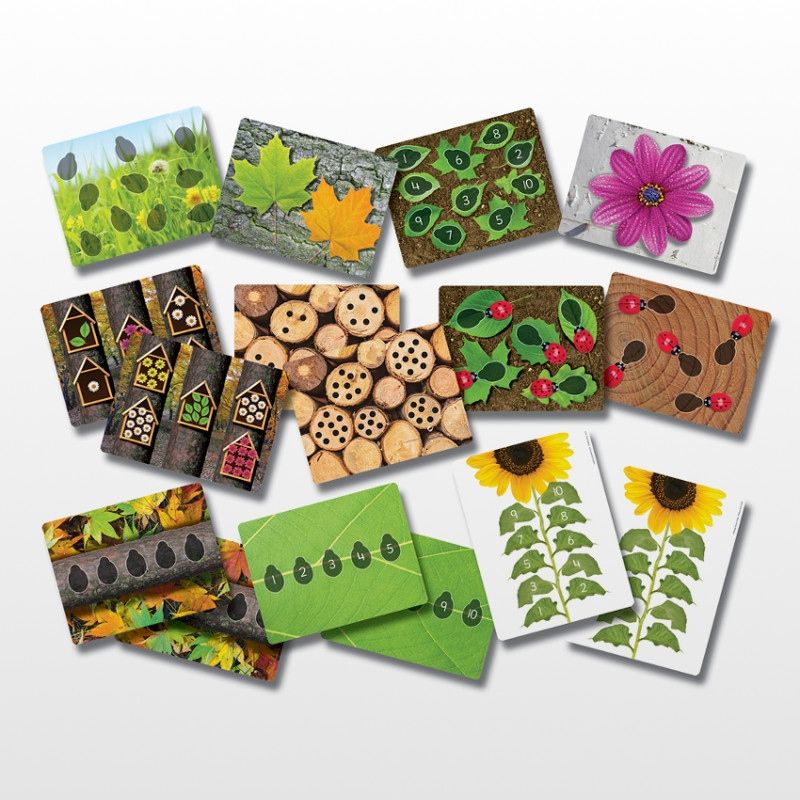 Ladybug Counting Cards (16 activiteiten kaarten)