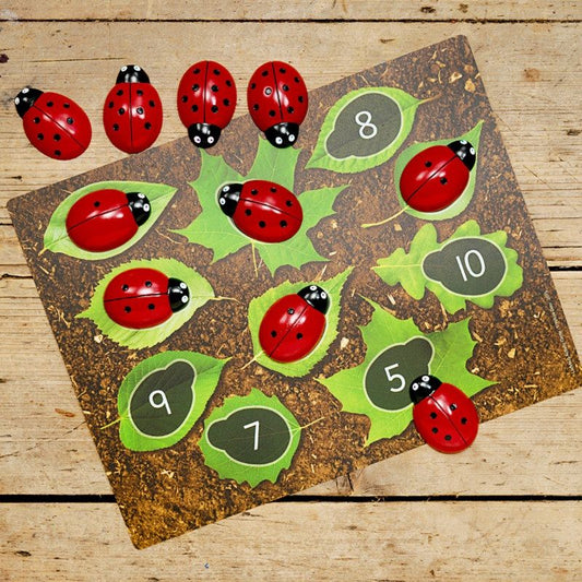 Ladybug Counting Cards (16 activiteiten kaarten)