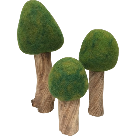 Wolvilten Bomen | Zomer